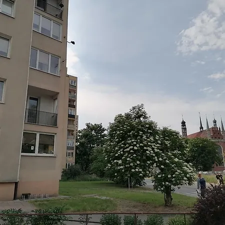 Apartment Torunska