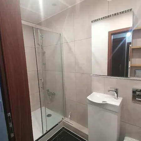 Apartment Torunska *